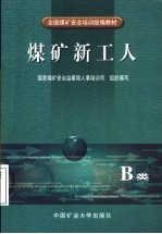 煤矿新工人 B类