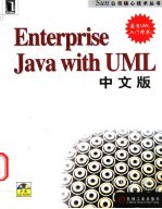 Enterprise Java with UML 中文版