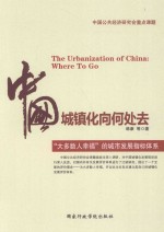 中国城镇化向何处去 “大多数人幸福”的城市发展指标体系