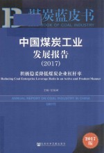 中国煤炭工业发展报告 积极稳妥降低煤炭企业杠杆率 2017版