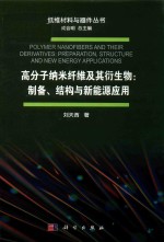 高分子纳米纤维及其衍生物 制备、结构与新能源应用