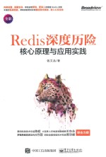 Redis深度历险  核心原理与应用实践