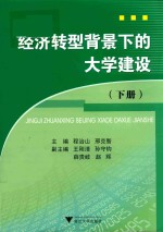 经济转型背景下的大学建设 下