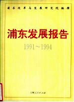 浦东发展报告 1991-1994