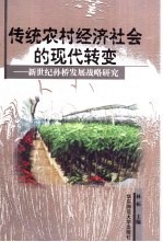 传统农村经济社会的现代转变 新世纪孙桥发展战略研究