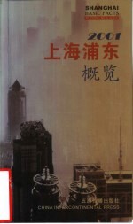 2001上海浦东概览