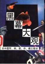 黑幕大观 旧中国军、政、匪、伶、娼之怪状