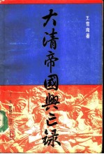 大清帝国兴亡录 上