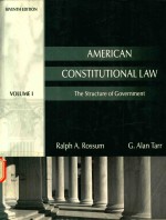 American constitutional law