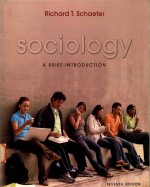 Sociology A Brief Introduction 7th edition