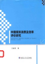 中国煤炭消费及效率评价研究