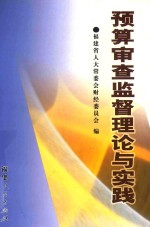 预算审查监督理论与实践