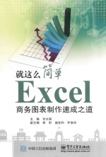 Excel商务图表制作速成之道