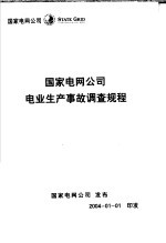 国家电网公司电业生产事故调查规程