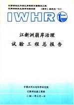 江新洲崩岸治理试验工程总报告