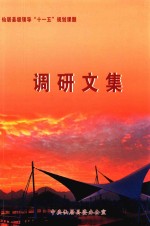 仙居县级领导“十一五”规划课题 调研文集