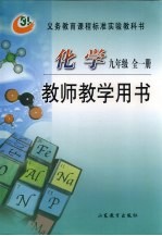 化学 教师教学用书 九年级（全一册）