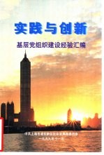 实践与创新-基层党组织建设经验汇编