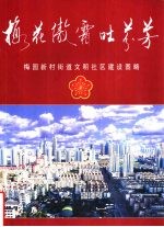 梅花傲霜吐芬芳 梅园新村街道文明社区建设图略