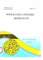 七五期间总公司重点科技攻关课题 酒西盆地白垩纪小型箕状断陷储层特征及评价