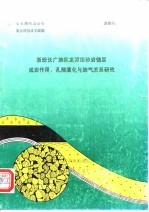 七五期间总公司重点科技攻关课题 浙皖长广地区龙潭组砂岩储层成岩作用、孔隙演化与油气关系研究