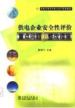 供电企业安全性评价重点问题和整改措施