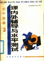 初中代数课内外辅导与水平测试 3