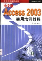 中文版Access 2003实用培训教程