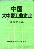 中国大中型工业企业 能源工业卷