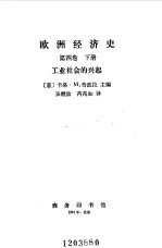 欧洲经济史 第4卷 下 工业社会的兴起