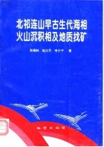 北祁连山早古生代海相火山沉积相及地质找矿