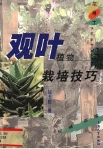 观叶植物栽培技巧