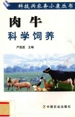 肉牛科学饲养