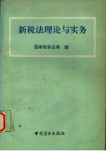 新税法理论与实务