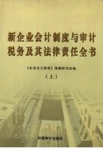 新企业会计制度与审计、税务及其法律责任实务全书 上