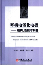 环境电催化电极  结构、性能与制备