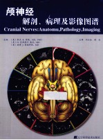 颅神经解剖、病理及影像图谱