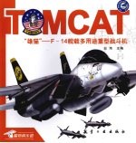 “雄猫” F-14舰载多用途重型战斗机