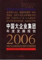 中国大企业集团年度发展报告 2006 自主创新与价值链管理