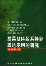 甜菜M14品系特异表达基因的研究