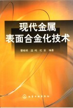 现代金属表面合金化技术