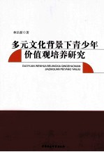 多元文化背景下青少年价值观培养研究