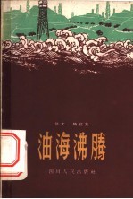 油海沸腾 散文·特写集