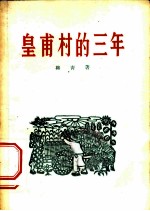 皇甫村的三年 散文特写集