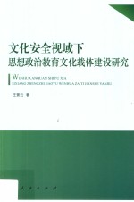 文化安全视域下思想政治教育文化载体建设研究