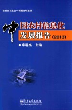 中国农村信息化发展报告 2013