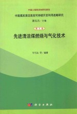 先进清洁煤燃烧与气化技术