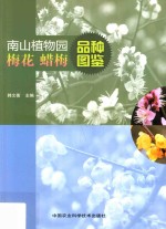 南山植物园梅花蜡梅品种图鉴