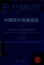 中国青年发展报告 No.2 中国青少年权益保护的发展进步