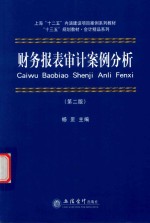 财务报表审计案例分析  第2版